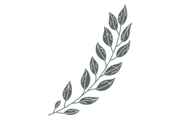 Branch with Leaves. Floral Pattern Desig Graphics and Illustrations