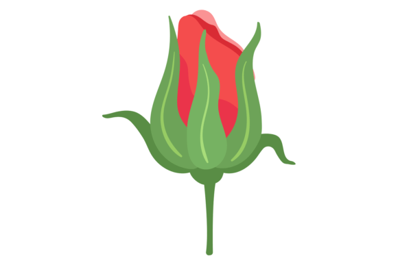 Red Rose Bud. Floral Design Decorative E Graphics and Illustrations